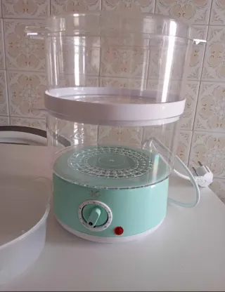 Cocedora de vapor eléctrica