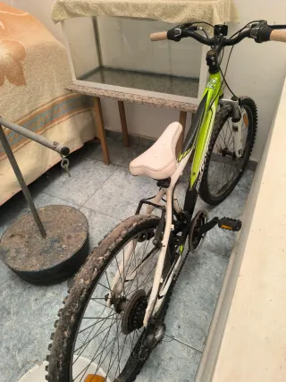 Bicicleta Unisex Infantil