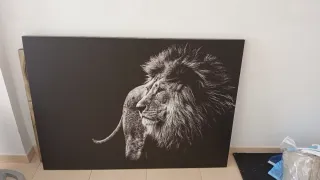 Cuadro León Blanco y Negro