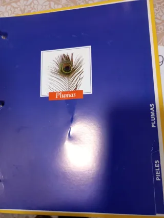 Fascículos la naturaleza en tus manos