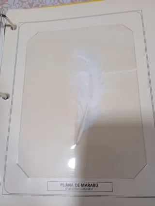 Fascículos la naturaleza en tus manos