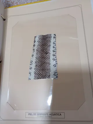 Fascículos la naturaleza en tus manos