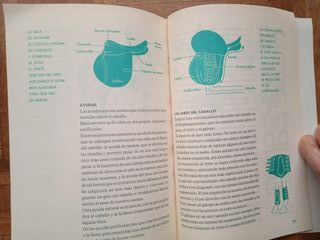 Béisbol e Hípica (colección deportes olímpicos, 5)