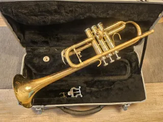 Trompeta en Do STAGG 77-CT/SC