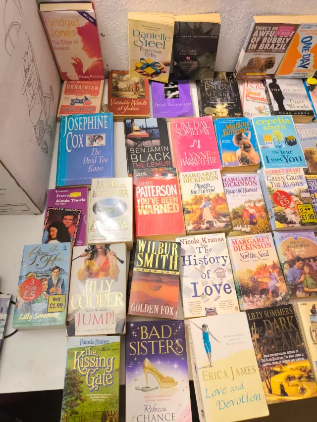 Lote libros ingles English books lot