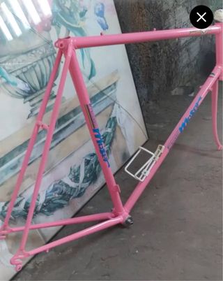 Cuadro Bicicleta Francesco Moser Rosa