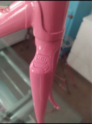 Cuadro Bicicleta Francesco Moser Rosa