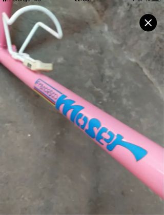 Cuadro Bicicleta Francesco Moser Rosa