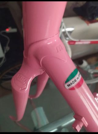 Cuadro Bicicleta Francesco Moser Rosa