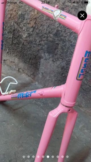 Cuadro Bicicleta Francesco Moser Rosa