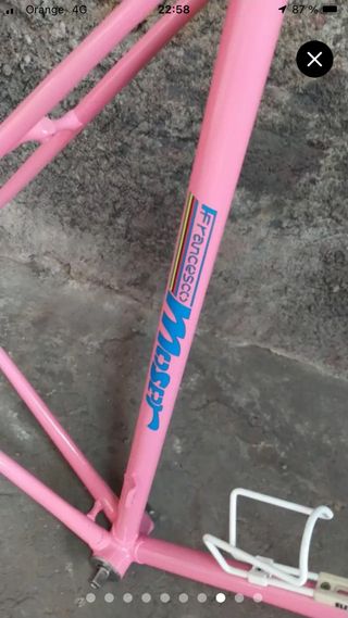 Cuadro Bicicleta Francesco Moser Rosa