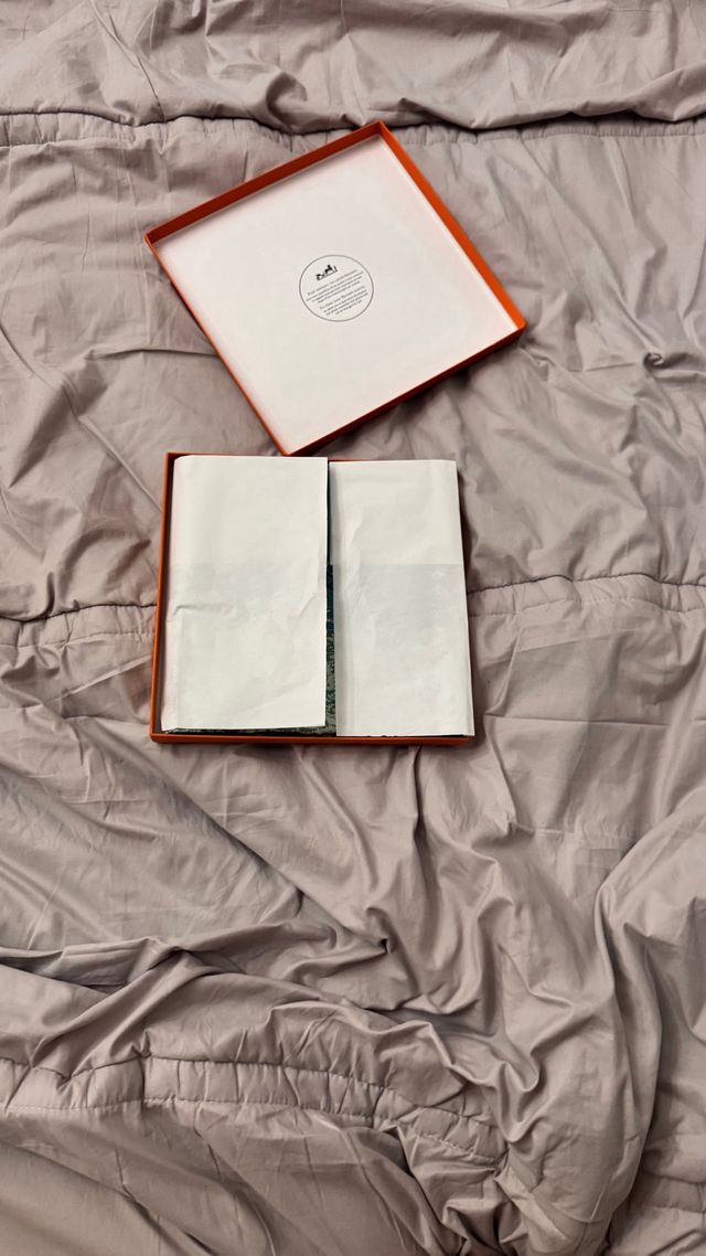 Pañuelo Hermes Le Fleuve Sacre