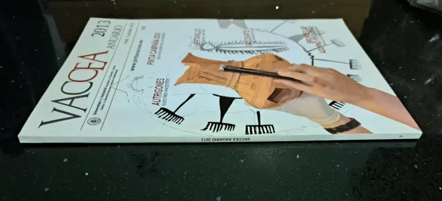 ARQUEOLOGIA REVISTA VACCEA ANUARIO 2013  N°7