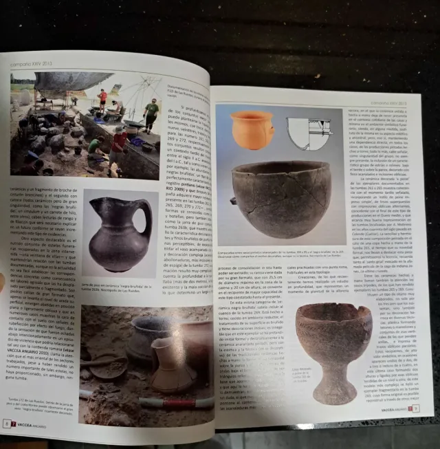 ARQUEOLOGIA REVISTA VACCEA ANUARIO 2013  N°7