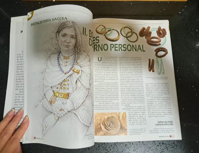 ARQUEOLOGIA REVISTA VACCEA ANUARIO 2013  N°7