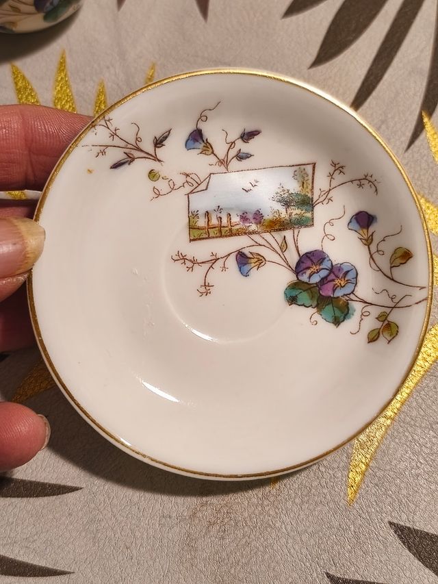 Antico set tazza e piattino in porcellana con fiori