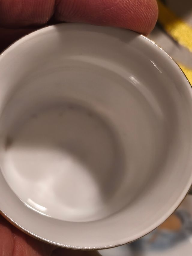 Antica tazza e piattino in porcellana tedesca 15€