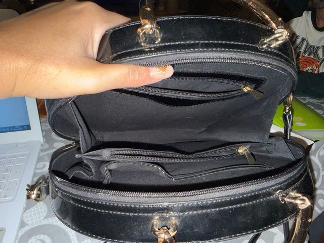 Bolso Negro y Multicolor con León Dorado