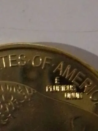 Moneda chapada oro indio y bisonte 2024