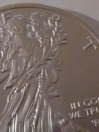 Moneda 1 oz Dólar Chapado Plata