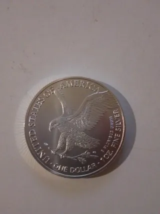 Moneda 1 oz Dólar Chapado Plata