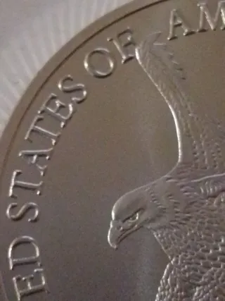 Moneda 1 oz Dólar Chapado Plata