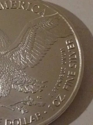 Moneda 1 oz Dólar Chapado Plata