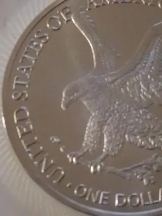 Moneda 1 oz Dólar Chapado Plata