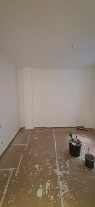 Pintores profesionales