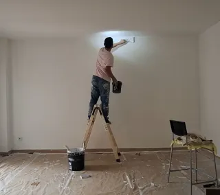 Pintores profesionales