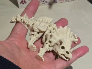 Esqueleto Dinossauro Triceratops Articulado