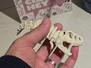 Esqueleto Dinossauro T-Rex Articulado