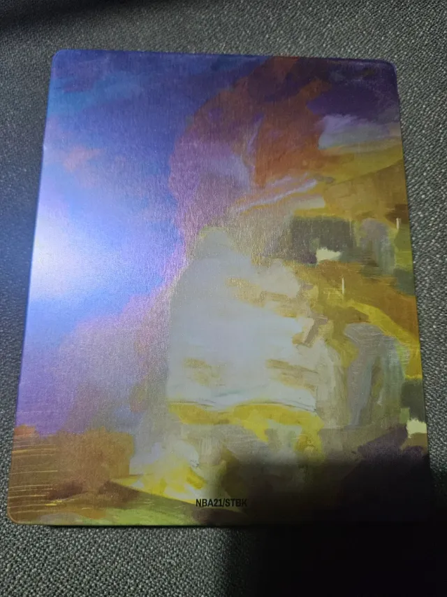 Steelbook NBA 2K21 (Sin juego)