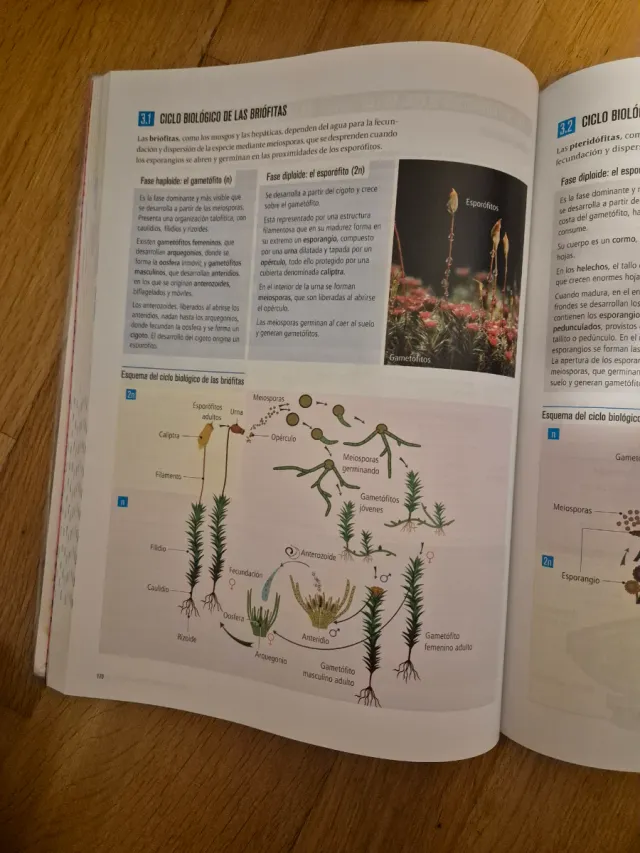 Proyecto: FanFest - Biología, Geología y Cienci...