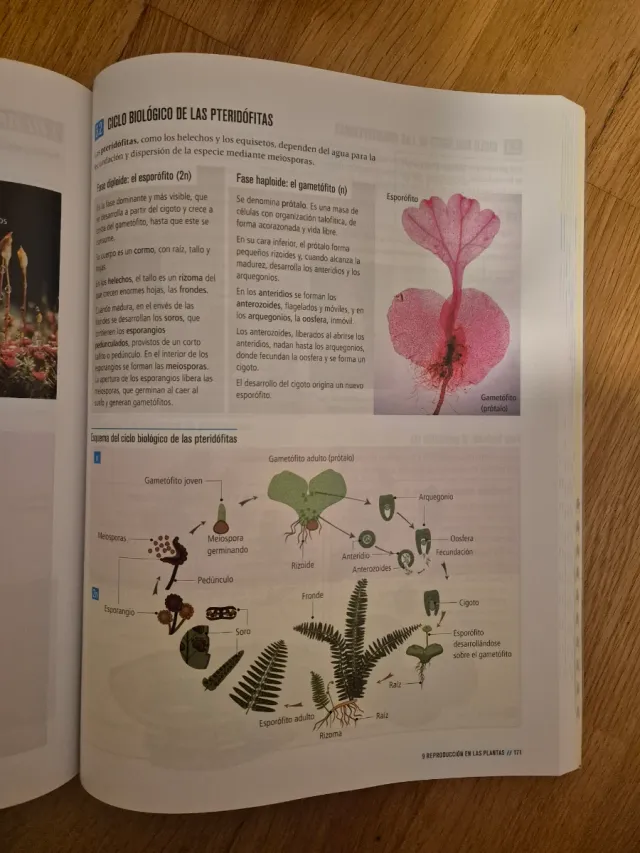 Proyecto: FanFest - Biología, Geología y Cienci...