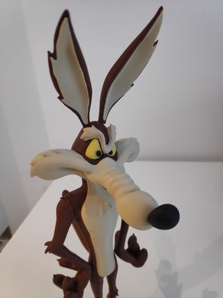 Coyote looney tunes
