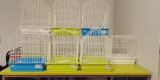 Tienda La Mola - Aves