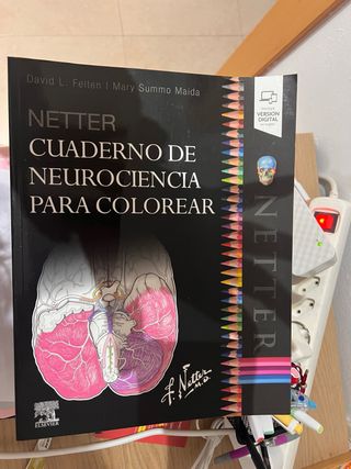 Netter. Cuaderno de neurociencia para colorear