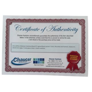 Camiseta Brasil con autógrafo de Zico original