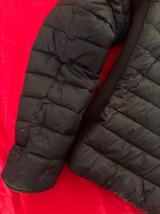 Chaqueta Zara acolchada azul corta