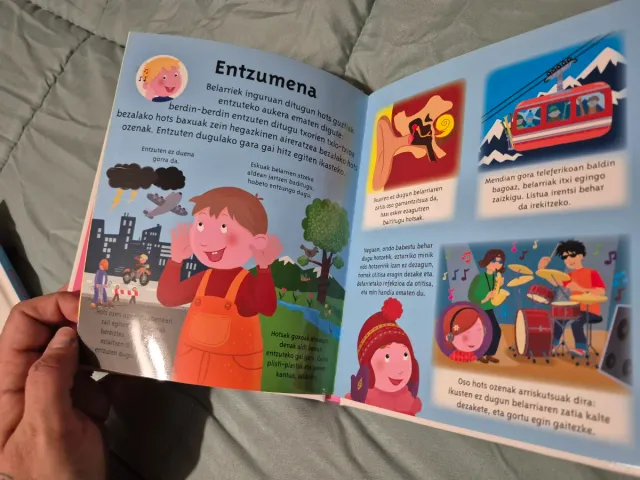 Lote libros en euskera