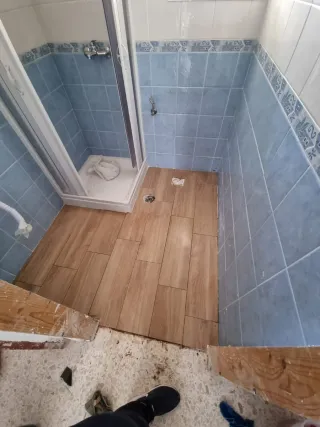 Servicios y reformas