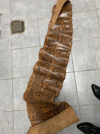 Pelle di serpente per artigianato