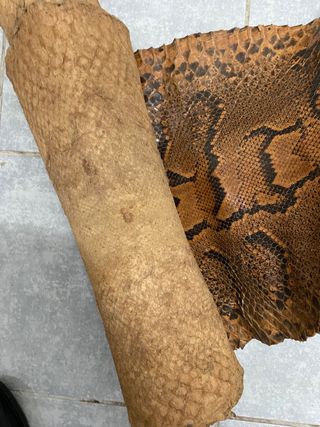 Pelle di serpente per artigianato