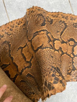 Pelle di serpente per artigianato