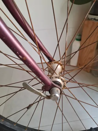 Bicicleta Montaña Morada