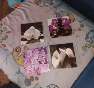 Set 4 Quadretti Fiori