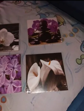 Set 4 Quadretti Fiori