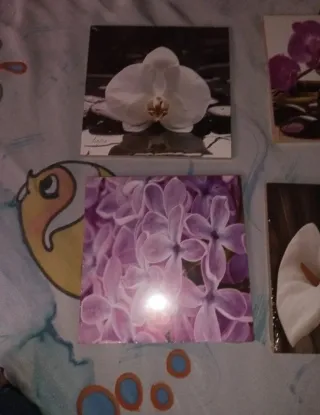 Set 4 Quadretti Fiori