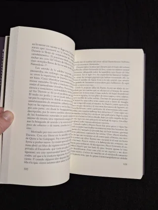 Paolo Pecere. El sentido de la naturaleza